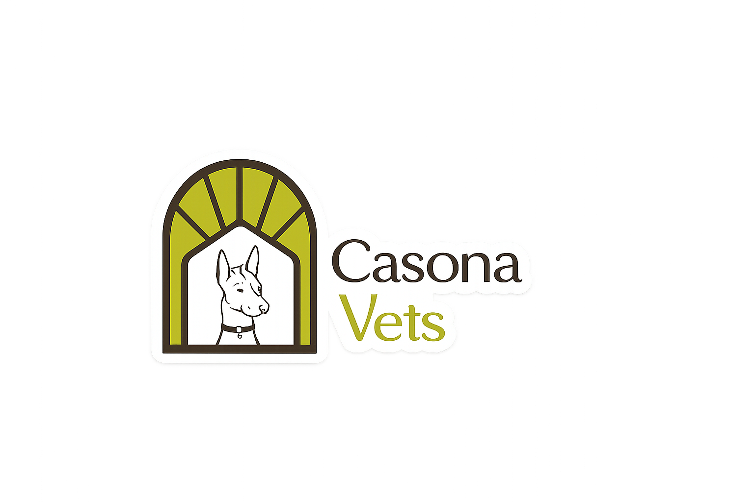 CasonaVets